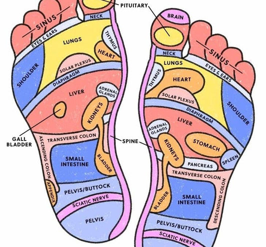 Reflex Zones of your feet