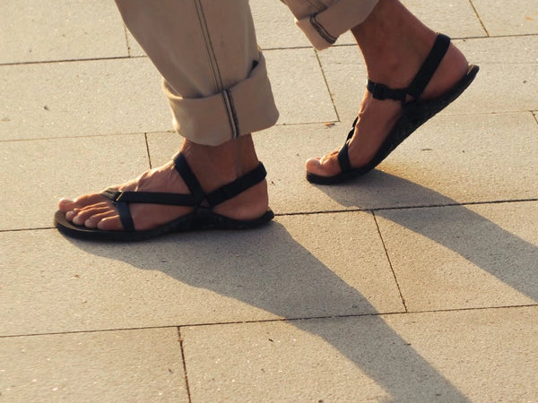 Bosky Light II Z Tech