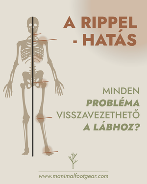 ✍️ Ripple Effect in the Body: How Can a Small Imbalance Spread Through the Entire Movement Chain?