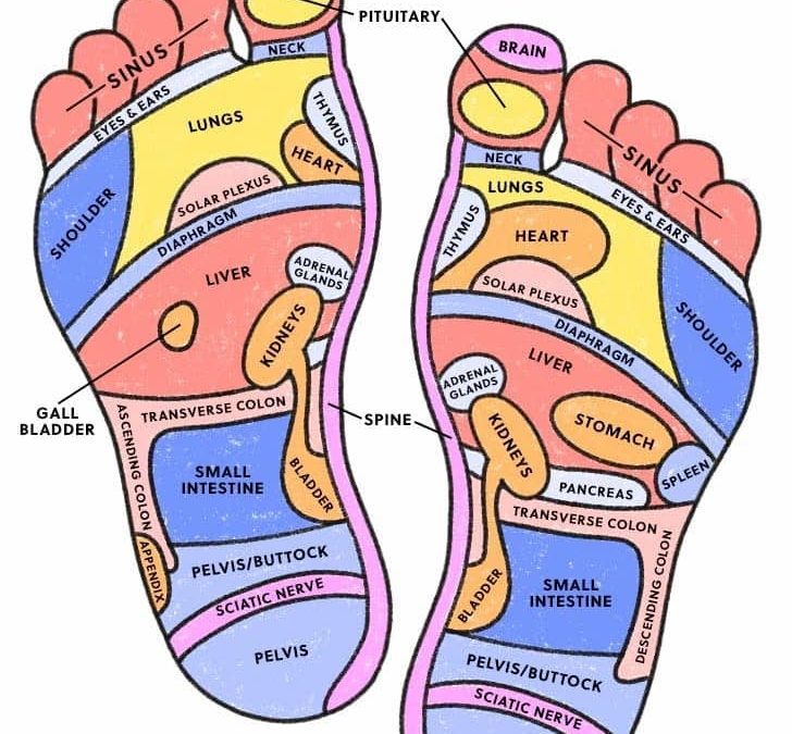Reflex Zones of your feet