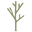 Manimal Footgear logo