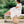 Be Lenka Lilea – Clay barefoot balerina