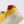 Barebarics Zing - Yellow & Red barefoot sneaker – 4