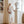 Shapen Feelin Chic White Barefoot sneaker
