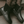 Be Lenka Entice Neo - All Black – 8