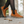 Be Lenka Entice Neo - Cinnamon Brown – 2