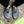 Be Lenka Trailwalker 3.0 - Dark Grey