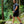 Be Lenka Trailwalker 3.0 - Dark Grey