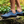 Be Lenka Trailwalker 3.0 - Navy