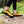 Be Lenka Trailwalker 3.0 - Yellow
